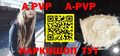 стаф Кунгур