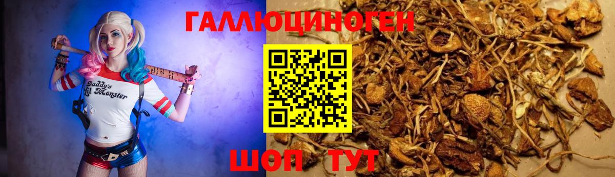 Клин  где купить наркоту  Вход с VPN  Галлюциногенные грибы Psilocybine cubensis 