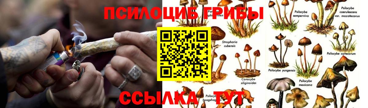 Галлюциногенные грибы Psilocybine cubensis Клин